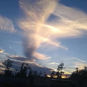 Meet your Posher, Norma